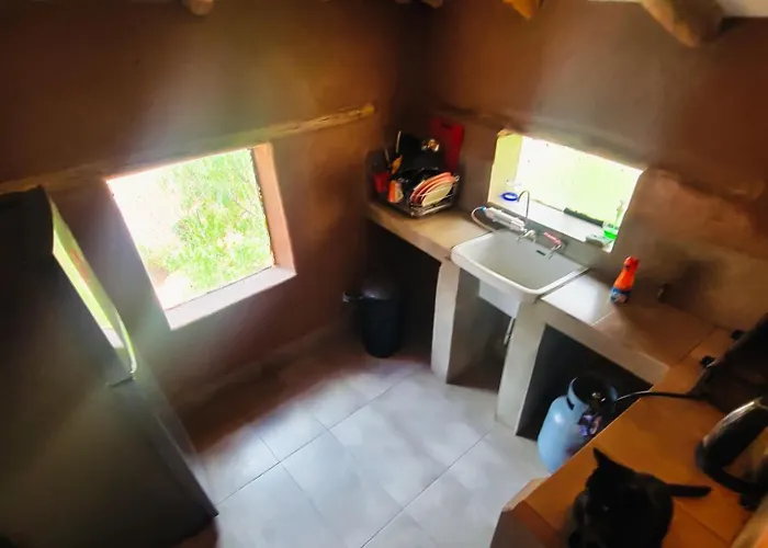 Wolf Totem Backpacker Steam Punk Apartment
