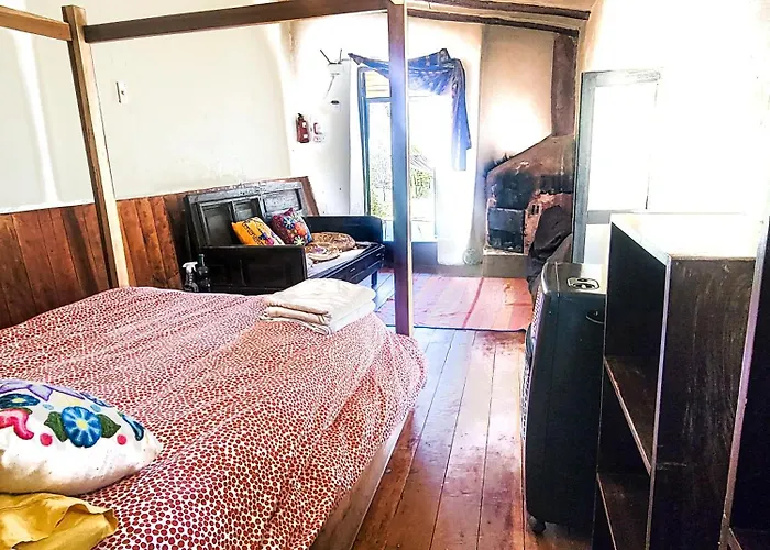 Wolf Totem Backpacker Steam Punk Apartment